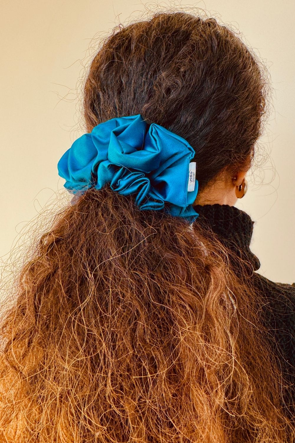 BLUCHOU- chouchou M 💙